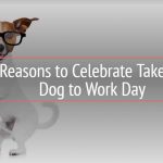 6 Reasons to Celebrate Take Your Dog to Work Day